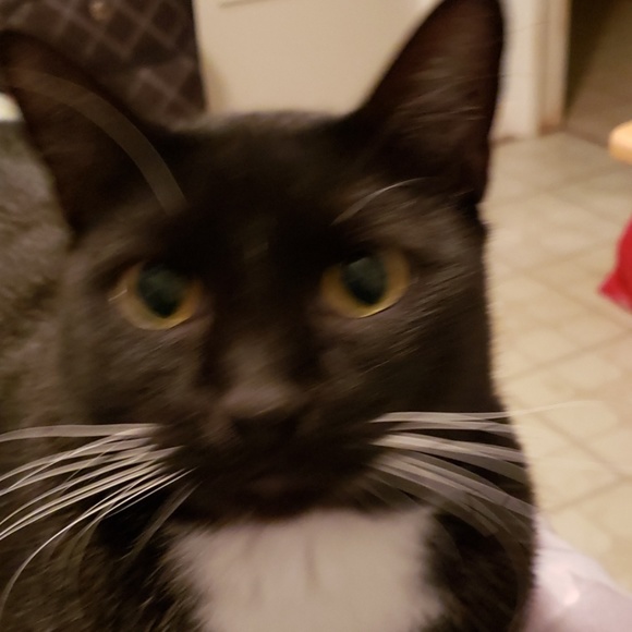 Meet your Posher, Mario - Picture 1 of 1